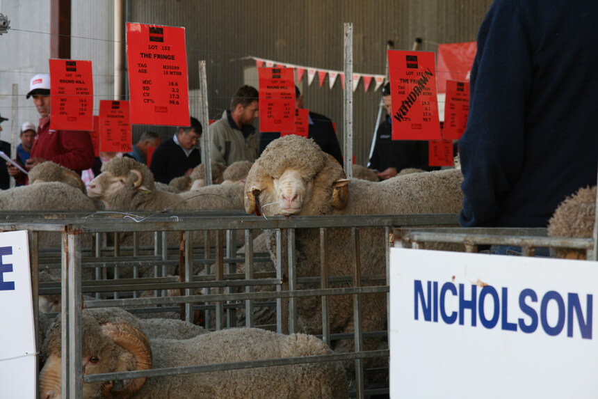 Local ram sale goes online