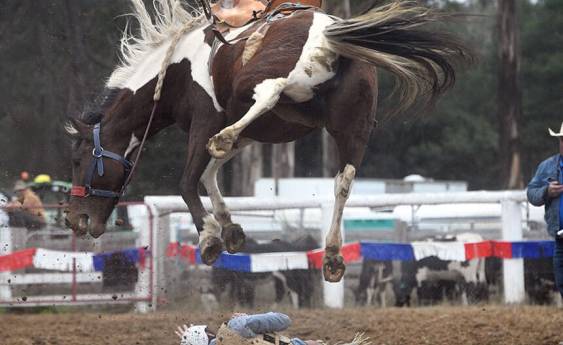 Thrills and spills at Buchan Rodeo